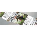 Termobilletter med trykk 79x114,3 mm Trykk 4+1 farge